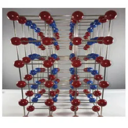 Edge Dislocation Model